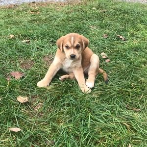 Meet your Posher, Bryce